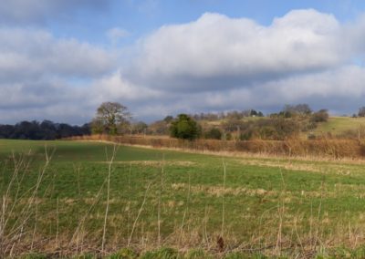 Housing Site Promotion, Hertfordshire