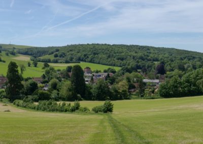 Open Air Museum, South Downs National Park