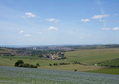 South Downs National Park, Brighton and Hove